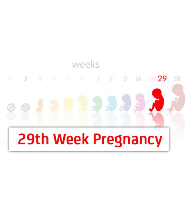 29 Weeks Pregnant: Symptoms, Body Changes & Baby Development