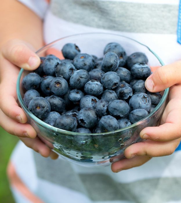 Blueberries For Kids: Nutritional Facts, Benefits And Recipes