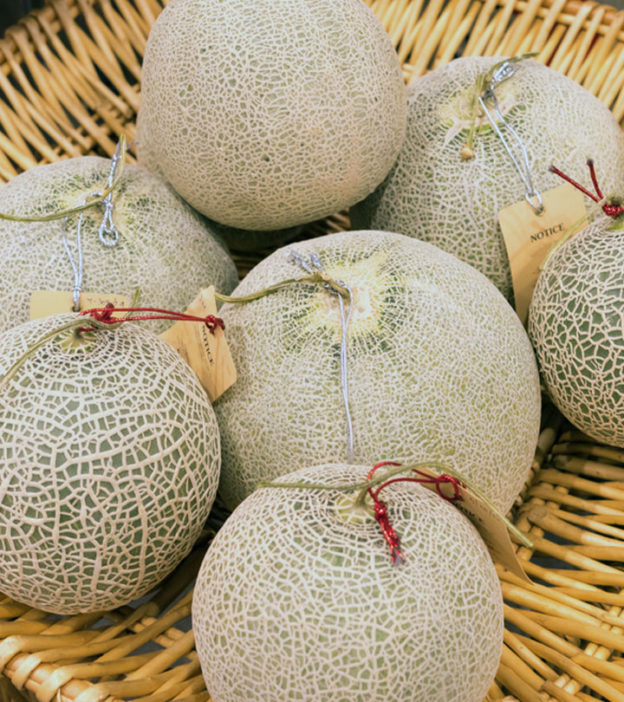Can Babies Have Cantaloupe? Benefits And Precautions To Take