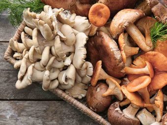 Mushrooms For Babies Safety, Health Benefits And Recipes1